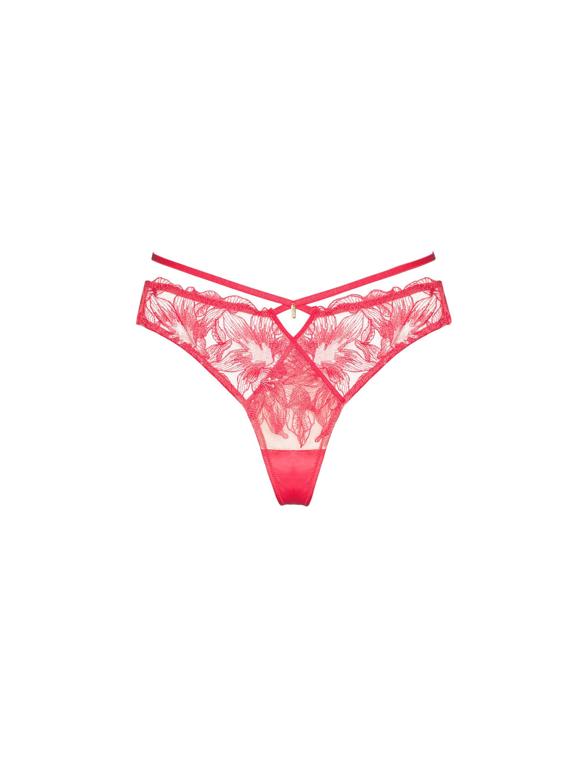內褲-PANTIES - Sugar8