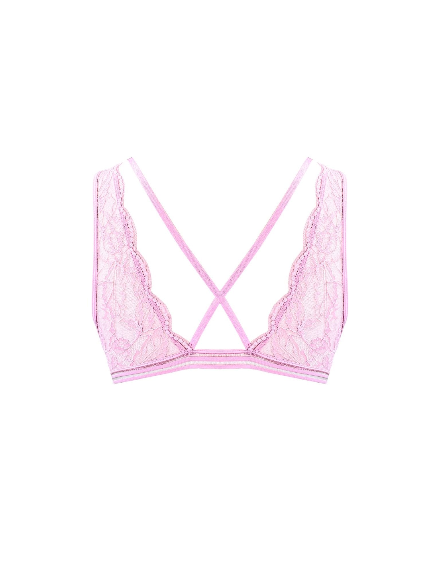 Gladys 三角杯 - Sugar8